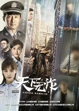 天下无诈 海报