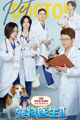 《宠物医生 第二季》：治愈心灵的毛茸茸朋友，重拾生活温暖与希望的温馨续集