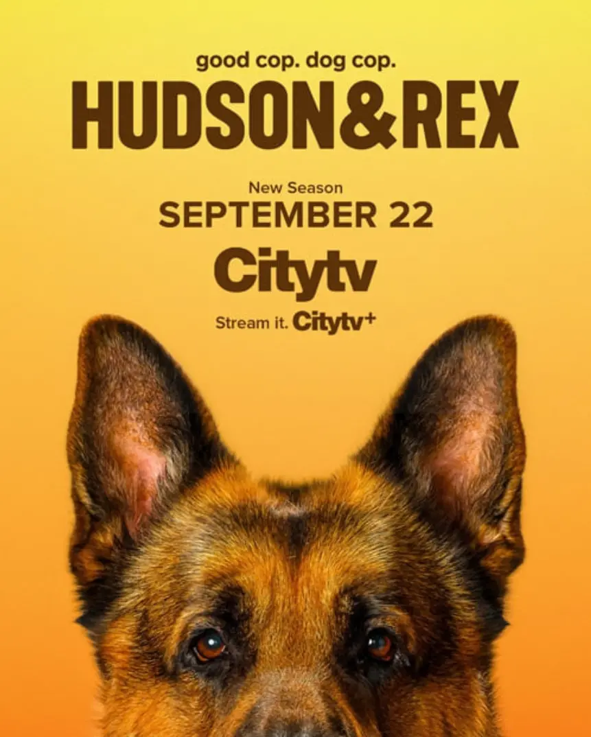 《哈德森与雷克斯》第八季：温情与激情的警犬搭档，城市守护者的不朽传奇
